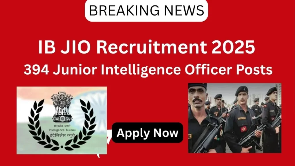 IB Junior Intelligence Officer